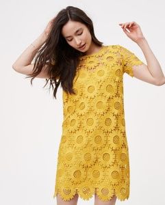 Sunflower Lace Dress